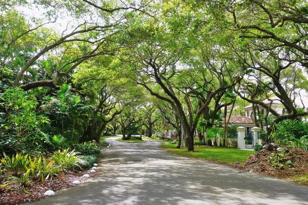 .mesto nula: Parky každých tristo metrov