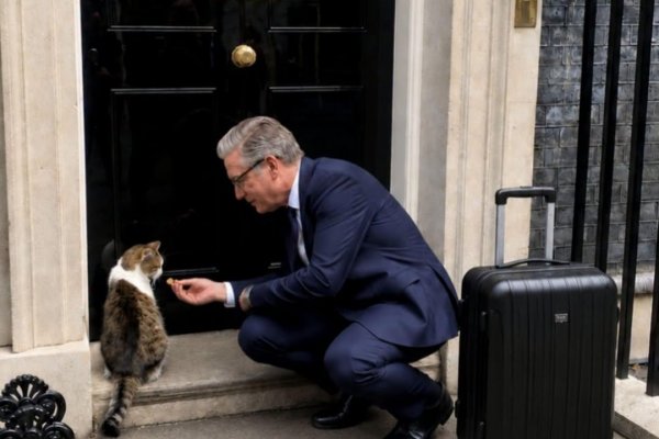 Larry: Ako sa túlavý kocúr stal britskou politickou ikonou