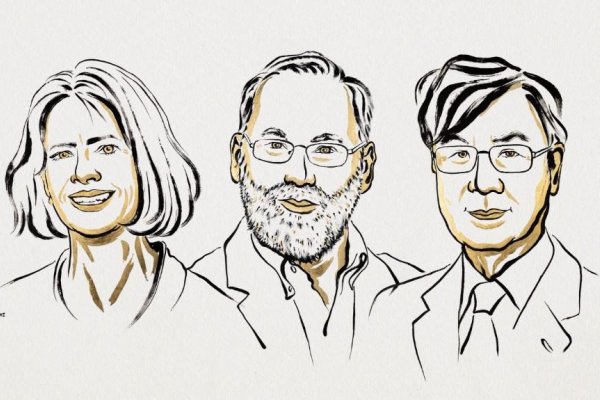 Nobelovu cenu za medicínu získali Brunkowová, Ramsdell a Sakaguči