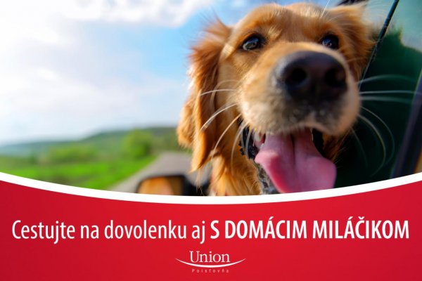 Cestovné poistenie psíka môže ušetriť stovky eur