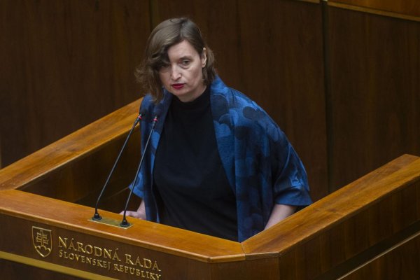Zákon o štátnom občianstve je podľa PS nedostatočný, podáva preto podnet na ÚS