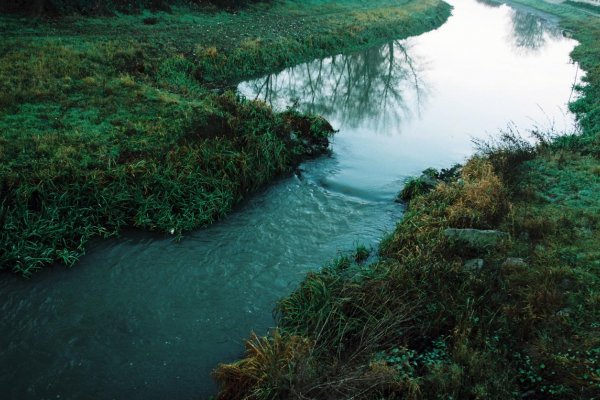 Veril Cervanovej otec vo vinu Nitranov?