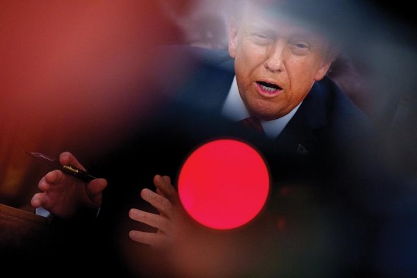 Peter Zajac: Rok hada