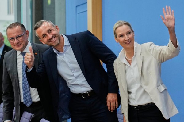 V AfD zvažujú odklon od dlhoročných postojov proti EÚ, píše Reuters