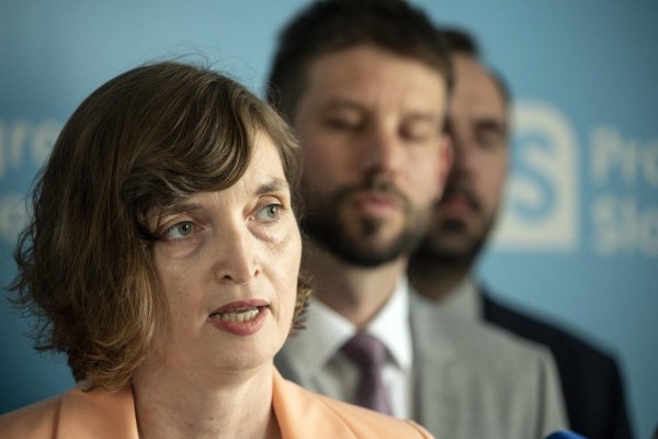 Ústavný súd prijal na ďalšie konanie sťažnosť poslankyne Plavákovej proti vykázaniu z pléna parlamentu za nálepky na laptope