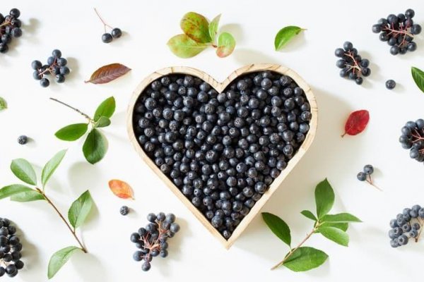 Objavte silu arónie – prírodného zázraku, ktorý vaša imunita ocení!