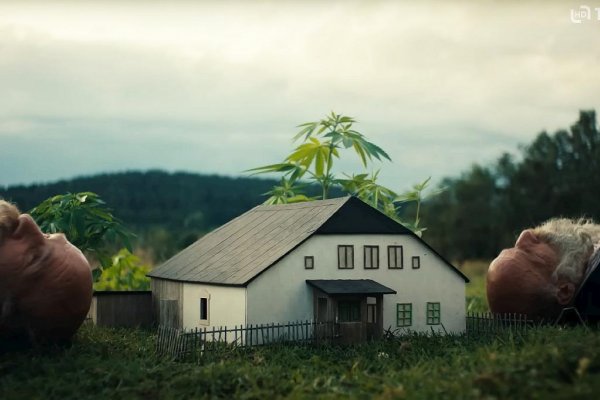 Raději zešílet v divočině: Keď samota nie je útek, ale voľba