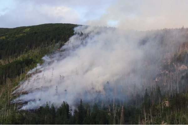Hasiči na Orave zasahujú pri požiari v lese