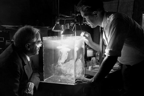 Ľudia kedysi verili, že strieľaním do oblohy z kanóna zabránia krupobitiu. Dnes je ovplyvňovanie počasia zakázané