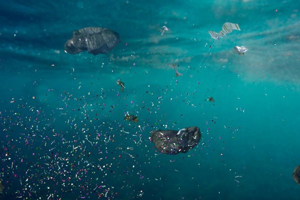 Mikroplasty objavili už aj v ľudskej krvi, je to alarmujúce