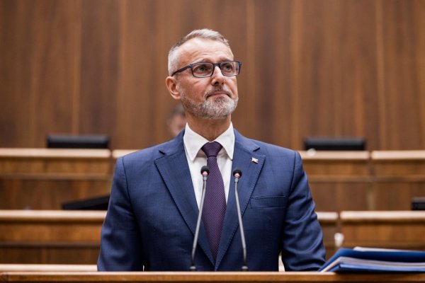 Parlament schválil kontroverzný zákon o mimovládnych organizáciách