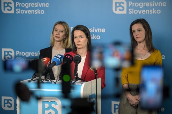 PS v septembri predloží viaceré návrhy, chce zabrániť násiliu na ženách
