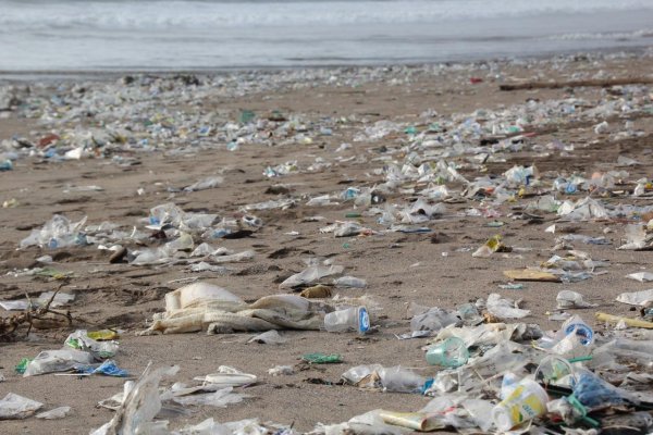 .okrem iného: Čína zelenie, zakáže jednorazové plasty