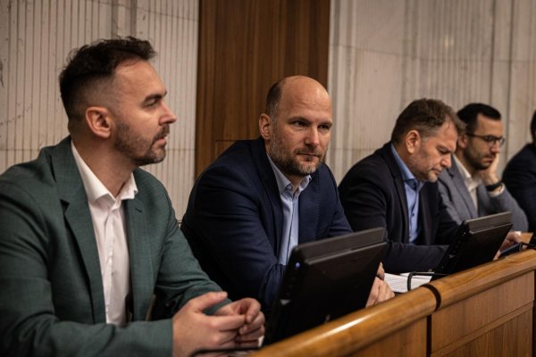 Grendel: Novela ústavy je čistým politikárčením