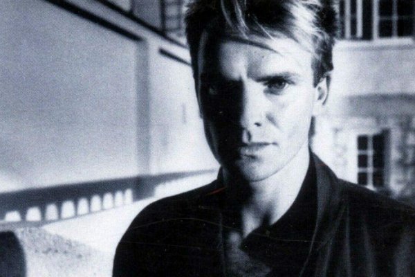 Stingove Modré korytnačky oslavujú 40 rokov