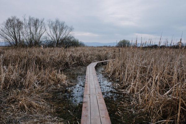Ochranári na východe Slovenska zachraňujú vysychajúce mokrade