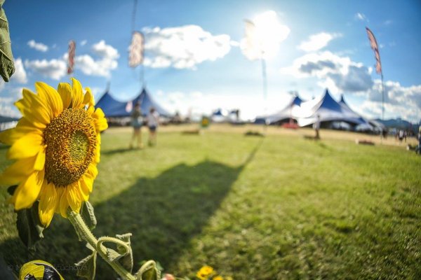 Festival Pohoda toto leto nebude, pre koronavírus ho odložili o rok