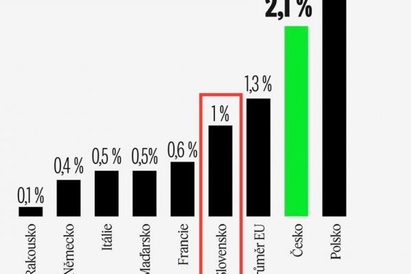 Dáta bez pátosu: Slovenská ekonomika v roku 2025