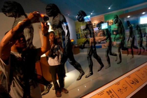 Esej: „Nahá opica“ a jej evolúcia