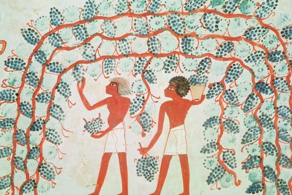 Seriál o histórii vína. Vinice pre boha Amona