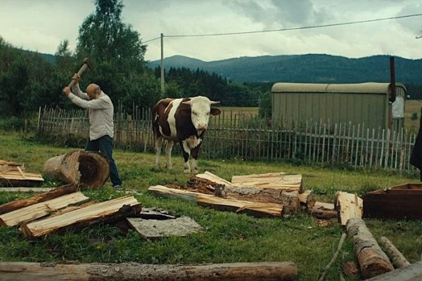 Hlavnú cenu Medzinárodného filmového festivalu v Karlových Varoch získal dokumentárny film slovenského režiséra Mira Rema