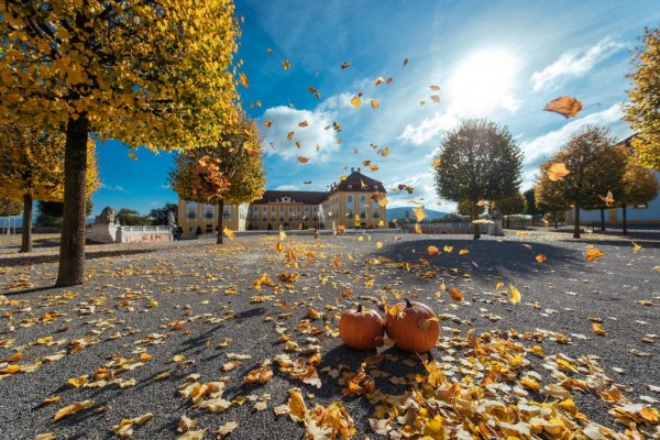 Keď jeseň rozžiari zámok Schloss Hof