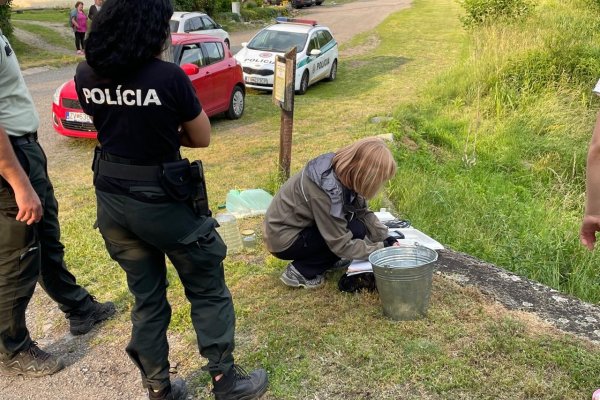 Inšpekcia životného prostredia začala vyšetrovať úhyn rýb v Slatine