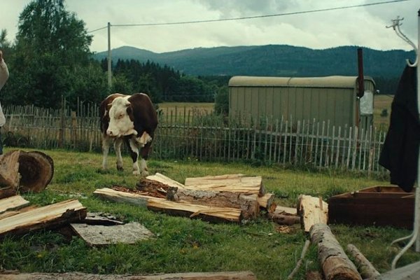 Krištáľový glóbus si z festivalu v Karlových Varoch odniesol film slovenského režiséra Radšej zošalieť v divočine