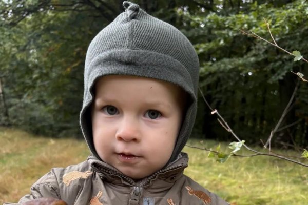 Príbeh vedy za príbehom Vilka
