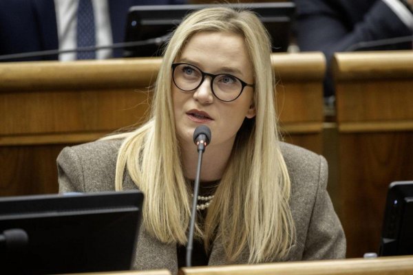SaS kritizuje vládu Fica za podporu ruských oligarchov a varuje pred hrozbou vojny