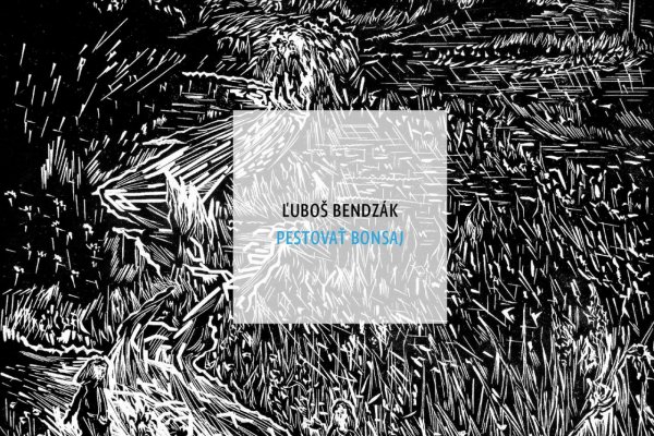 Knižnica .týždňa: Bendzák ráno píše báseň, večer ju trhá