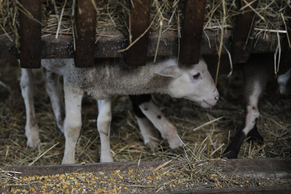 Kultúra: Slovensko sa uchádza o ďalší zápis do zoznamu UNESCO