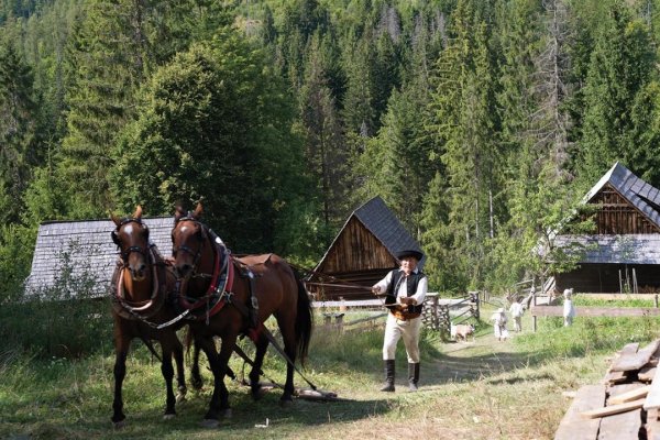 Hmly nielen na úsvite