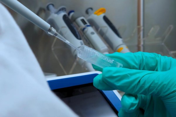 Nízkomolekulové prírodné extrakty s obsahom peptidov ukazujú nádej v boji proti rakovine