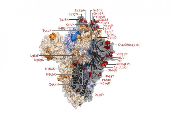 Privítajme nového člena koronarodiny