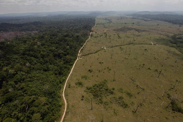 Amazonský prales mizne z roka na rok rýchlejšie. „Brazílsky Trump“ satelitným snímkam neverí