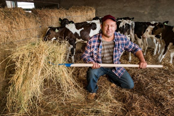 Slovenská farma je spojením kvality a domáceho pôvodu mäsa