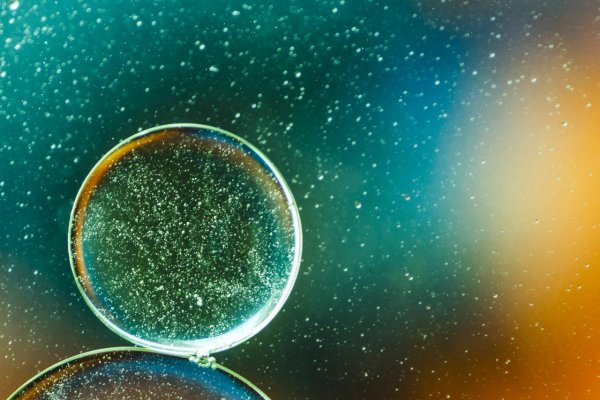 The Economist: Budúcnosť dobývania vesmíru bude stáť na biológii