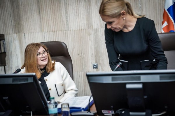 Vláda: G. Matečná končí na poste štátnej tajomníčky envirorezortu